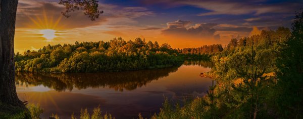Народное голосование. ТОП-20 фотографий за 31.08.2019 г.