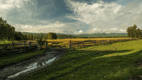 Народное голосование. ТОП-20 фотографий за 01.09.2019 г.