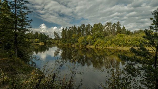 Народное голосование. ТОП-20 фотографий за 09.09.2019&nbsp;г.