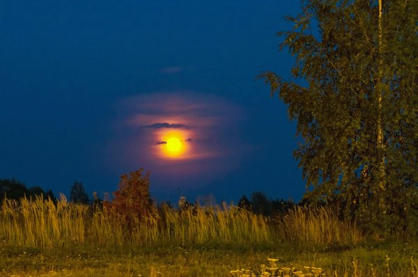 Народное голосование. ТОП-20 фотографий за 15.09.2019&nbsp;г.