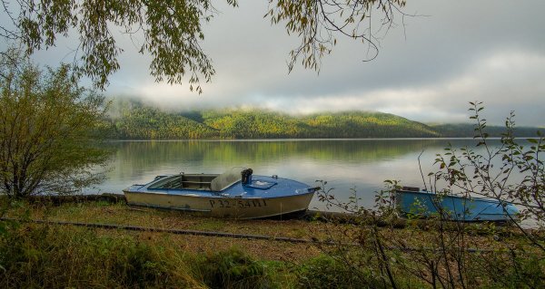 Народное голосование. ТОП-20 фотографий за 16.09.2019&nbsp;г.