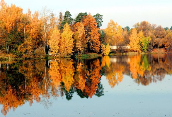 Народное голосование. ТОП-20 фотографий за 19.09.2019&nbsp;г.