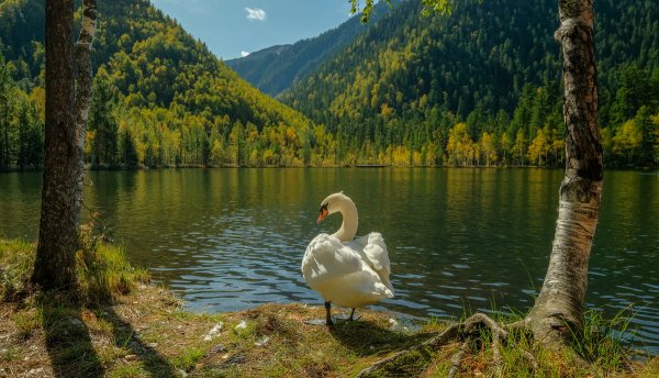 Народное голосование. ТОП-20 фотографий за 24.09.2019 г.