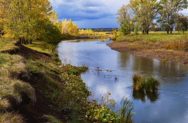 Народное голосование. ТОП-20 фотографий за 26.09.2019 г.