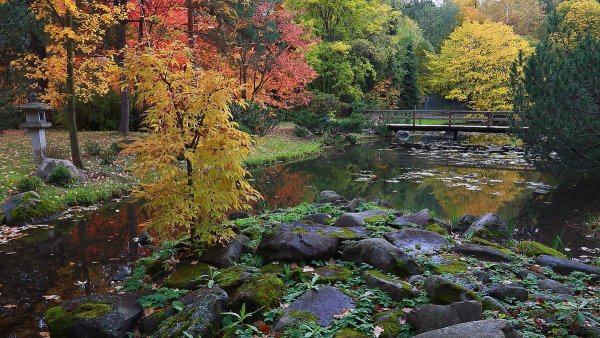 Народное голосование. ТОП-20 фотографий за 08.10.2019 г.