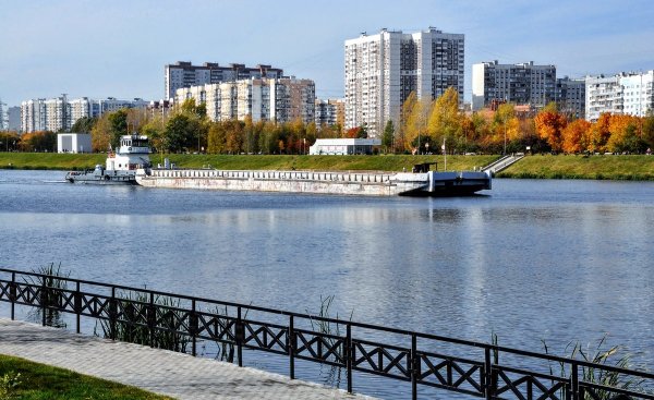 Народное голосование. ТОП-20 фотографий за 10.10.2019&nbsp;г.