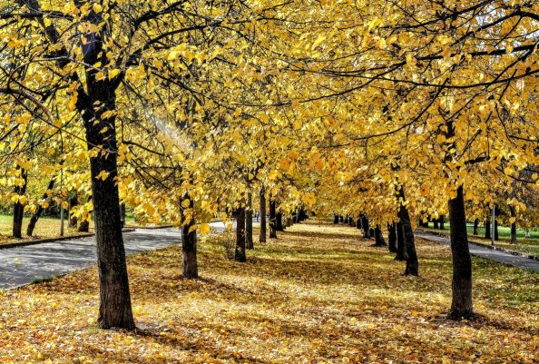 Народное голосование. ТОП-20 фотографий за 12.10.2019&nbsp;г.