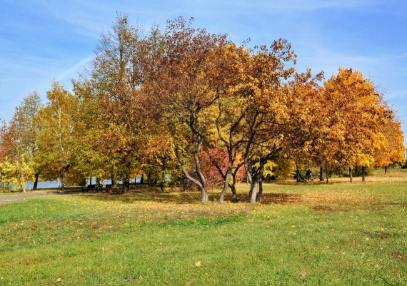 Народное голосование. ТОП-20 фотографий за 14.10.2019&nbsp;г.