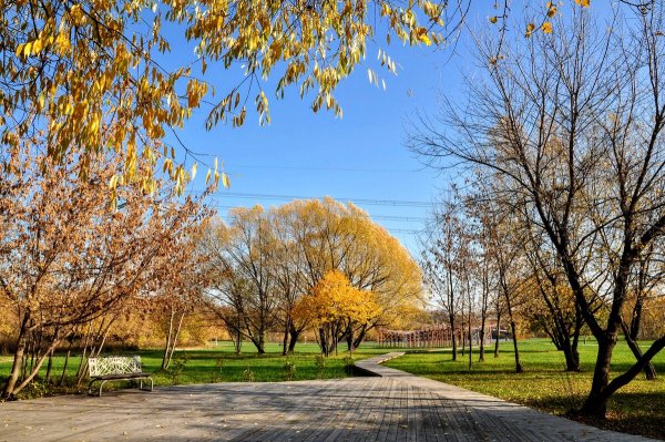 Народное голосование. ТОП-20 фотографий за 22.10.2019&nbsp;г.