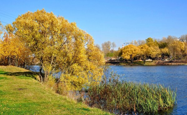 Народное голосование. ТОП-20 фотографий за 24.10.2019&nbsp;г.