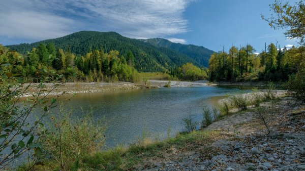 Народное голосование. ТОП-20 фотографий за 29.10.2019&nbsp;г.