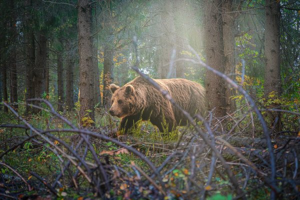 Народное голосование. ТОП-20 фотографий за 02.11.2019&nbsp;г.