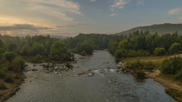 Народное голосование. ТОП-20 фотографий за 03.11.2019&nbsp;г.