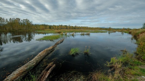Народное голосование. ТОП-20 фотографий за 09.11.2019&nbsp;г.