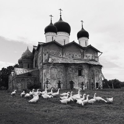 Народное голосование. ТОП-20 фотографий за 11.11.2019&nbsp;г.