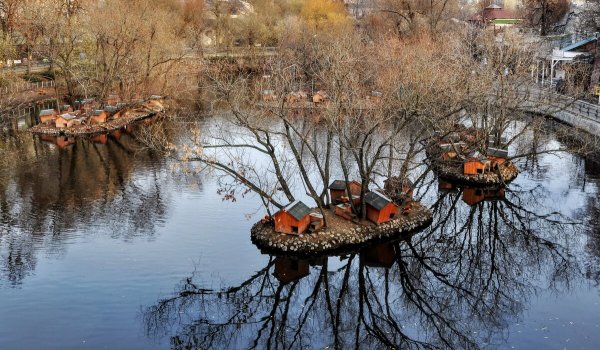 Народное голосование. ТОП-20 фотографий за 23.11.2019 г.