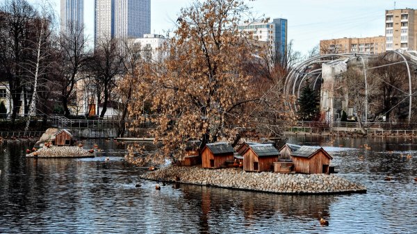 Народное голосование. ТОП-20 фотографий за 25.11.2019 г.