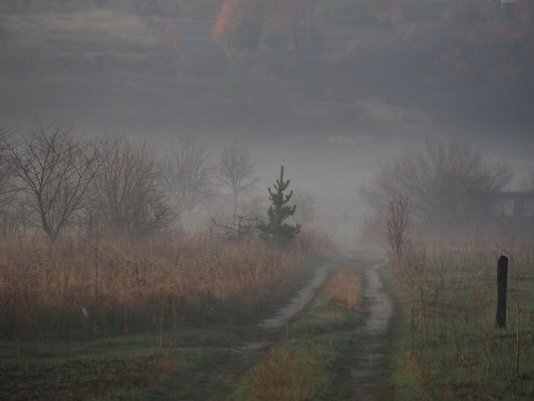 Народное голосование. ТОП-20 фотографий за 30.11.2019&nbsp;г.