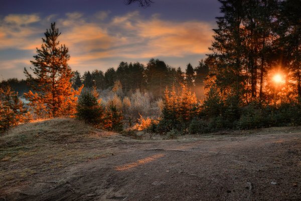 Народное голосование. ТОП-20 фотографий за 04.12.2019&nbsp;г.