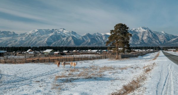 Народное голосование. ТОП-20 фотографий за 08.12.2019&nbsp;г.
