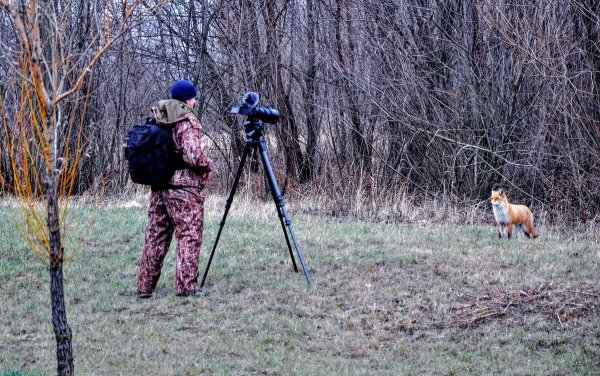Народное голосование. ТОП-20 фотографий за 09.12.2019&nbsp;г.