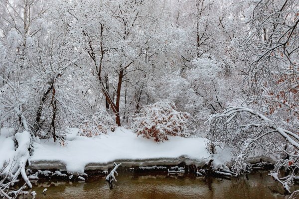 Народное голосование. ТОП-20 фотографий за 19.12.2019&nbsp;г.