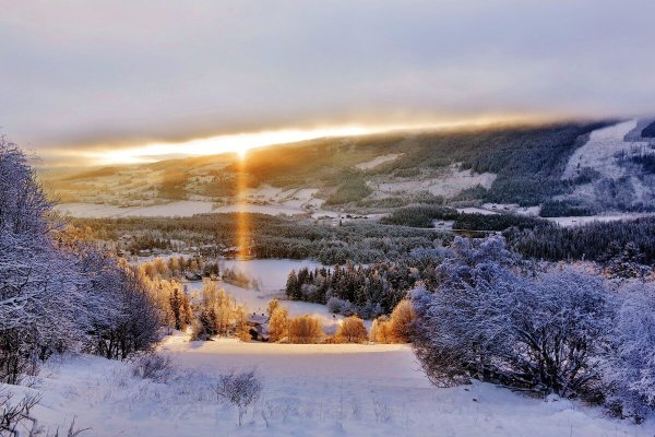 Народное голосование. ТОП-20 фотографий за 21.12.2019&nbsp;г.
