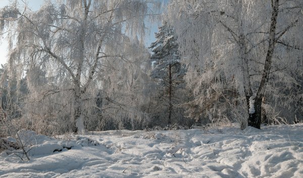 Народное голосование. ТОП-20 фотографий за 06.01.2020&nbsp;г.