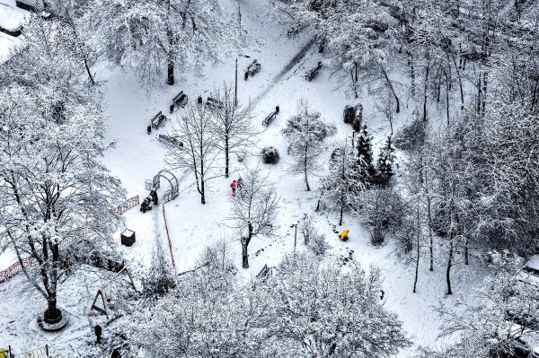 Народное голосование. ТОП-20 фотографий за 11.01.2020&nbsp;г.
