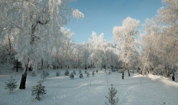 Народное голосование. ТОП-20 фотографий за 19.01.2020&nbsp;г.