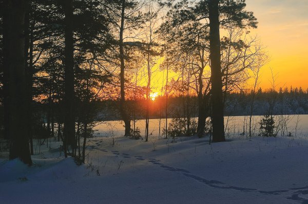Народное голосование. ТОП-20 фотографий за 26.01.2020&nbsp;г.