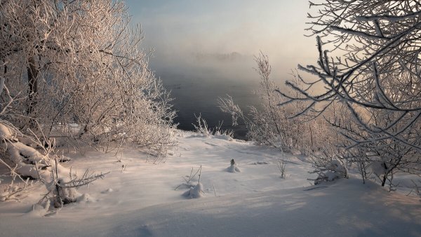 Народное голосование. ТОП-20 фотографий за 27.01.2020&nbsp;г.