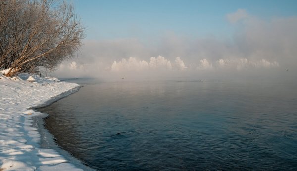 Народное голосование. ТОП-20 фотографий за 01.03.2020 г.