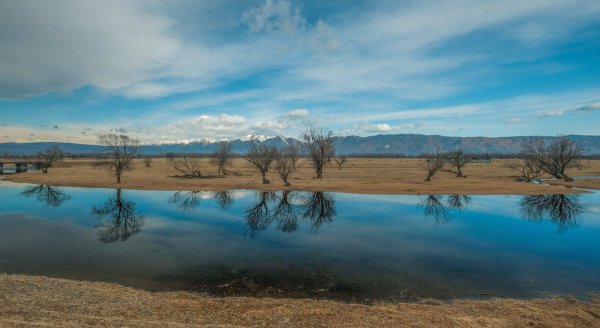 Народное голосование. ТОП-20 фотографий за 03.03.2020 г.