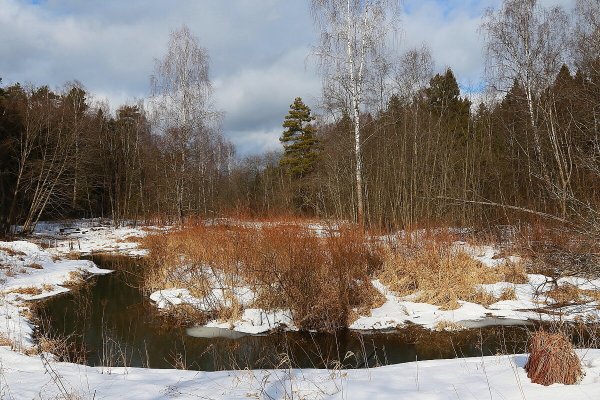 Народное голосование. ТОП-20 фотографий за 05.03.2020 г.