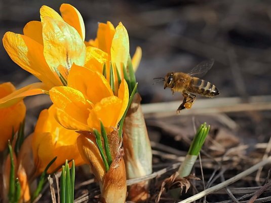 Народное голосование. ТОП-20 фотографий за 10.03.2020 г.