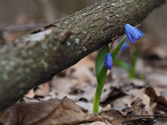 Народное голосование. ТОП-20 фотографий за 11.03.2020 г.