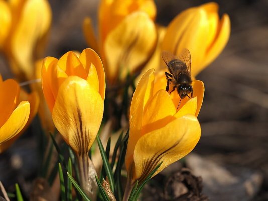 Народное голосование. ТОП-20 фотографий за 12.03.2020&nbsp;г.
