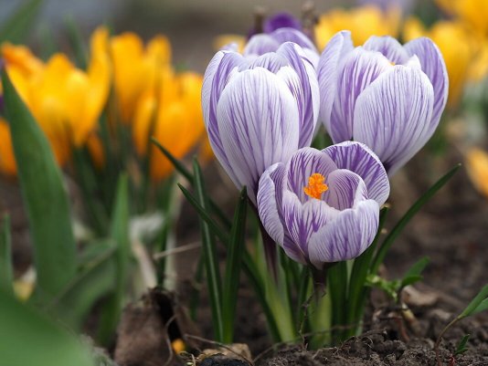 Народное голосование. ТОП-20 фотографий за 15.03.2020 г.