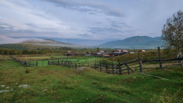 Народное голосование. ТОП-20 фотографий за 02.04.2020&nbsp;г.