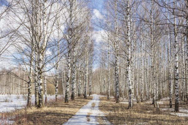 Народное голосование. ТОП-20 фотографий за 03.04.2020 г.