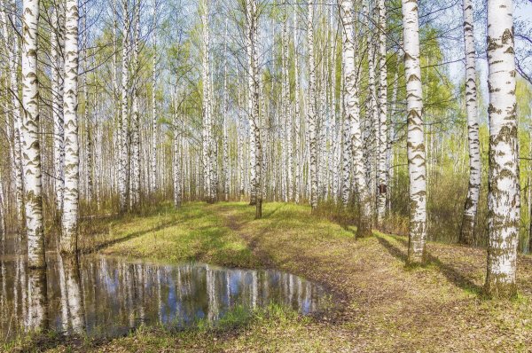 Народное голосование. ТОП-20 фотографий за 17.05.2020&nbsp;г.