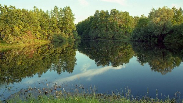Народное голосование. ТОП-20 фотографий за 23.05.2020&nbsp;г.