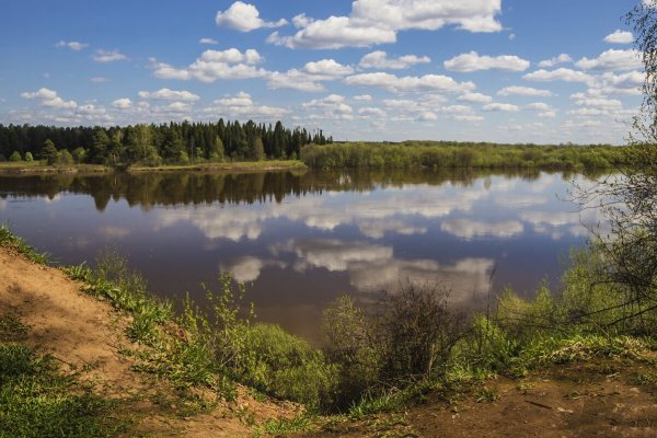 Народное голосование. ТОП-20 фотографий за 25.05.2020&nbsp;г.