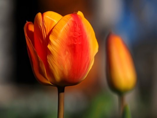Народное голосование. ТОП-20 фотографий за 31.05.2020&nbsp;г.