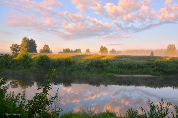 Народное голосование. ТОП-20 фотографий за 07.06.2020&nbsp;г.