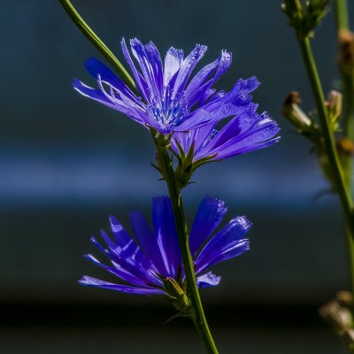 Народное голосование. ТОП-20 фотографий за 26.06.2020&nbsp;г.