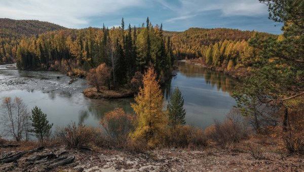 Народное голосование. ТОП-20 фотографий за 30.06.2020&nbsp;г.
