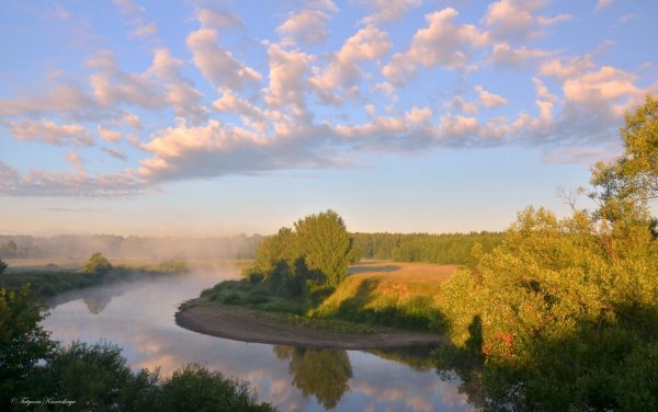 Народное голосование. ТОП-20 фотографий за 01.07.2020&nbsp;г.