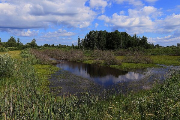 Народное голосование. ТОП-20 фотографий за 02.07.2020&nbsp;г.